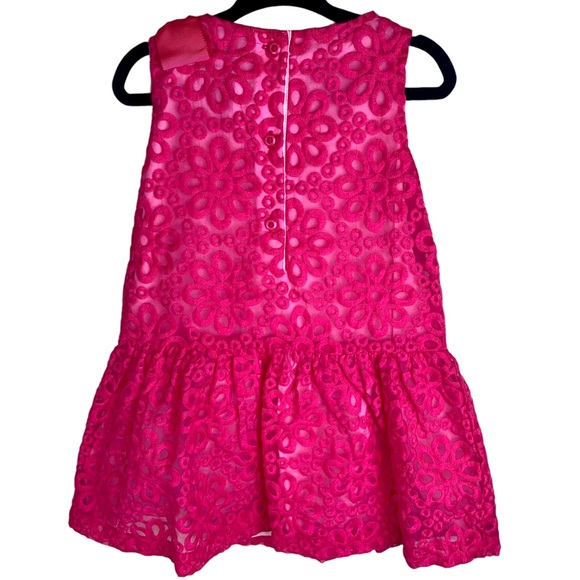 Gymboree Girls Special Occassion Lace Drop Waist Dress Fuchsia Pink NEW - Picture 13 of 13